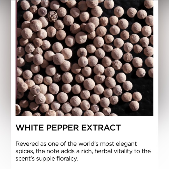 Tom Ford Rose Exposed - Picture 4 of 5